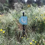 Quinta Da Lontra Holiday home *