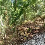 Quinta Da Lontra * Tabua (Coimbra)