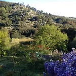 Holiday home Quinta Da Lontra Tabua (Coimbra)