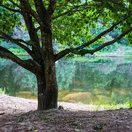 Quinta Da Lontra * Tábua