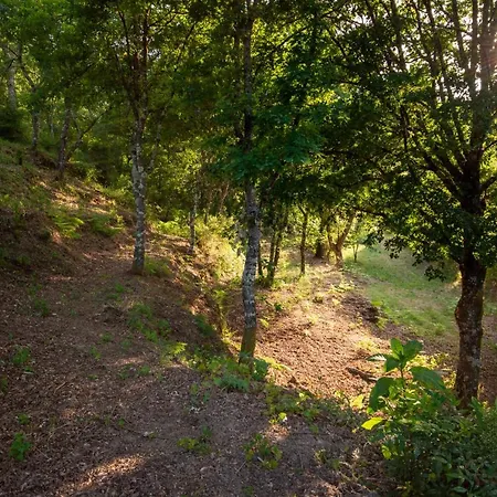 Prázdninový dům Quinta Da Lontra