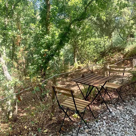 Quinta Da Lontra * Tábua