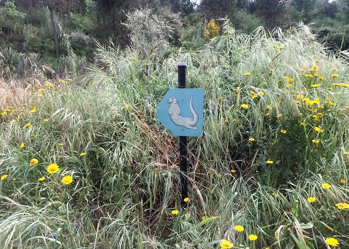 Quinta Da Lontra بيت للعطل *