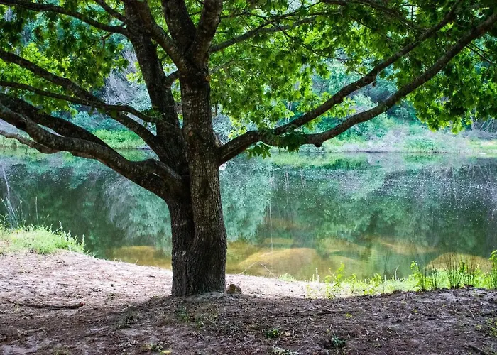 Quinta Da Lontra * Tábua