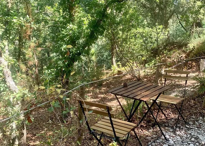 Quinta Da Lontra * Tábua